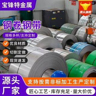 钢卷钢带 开平钢带热轧冷轧钢卷可零切定制 厂家供应 量大价优