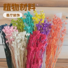 �����˽ǻ��ɻ�ɭϵ�͹Ų廨�����ֹ�diy������@�LС���¿͏d