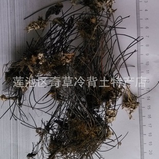 ͨ����,�y�۱�ާ,ֹ�@��,���~Ƥ,�F�ǲ�,���l��ș��ͨ����