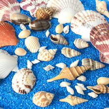 �溣�ݰ�����С����ؐ���˱������L���zDIY����������� ΢���^