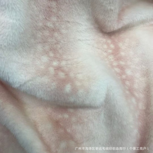 �����r�ЮaƷ ����ӡ¹�c Ь����� Ƥëһ�w�ﶬë�q����