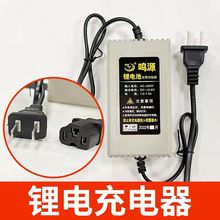 電動噴霧器配件 鋰電池通用充電器 農用打葯桶蓄電池鉛酸池充電器