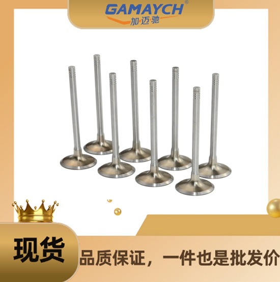 Manufacturing Standard Valve 11347587470 For BMW