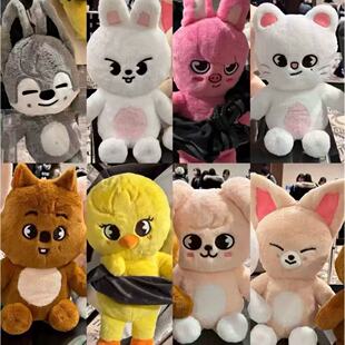 Stray Kids SKZ�������N �S�C��ë�q������żStray Kidsë�q����
