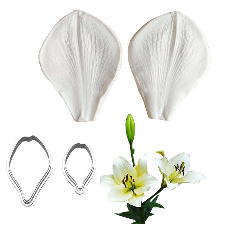 Amaryllis Narcissus Lily Double-Sided Texture Stamping Leaf Mold Leaf Vein Cake Silicone Fondant Mold Baking Tool Amaryllis Narcissus Lily Double-Sided Texture Stamping Leaf Mold Leaf Vein Cake Silicone Fondant Mold Baking Tool