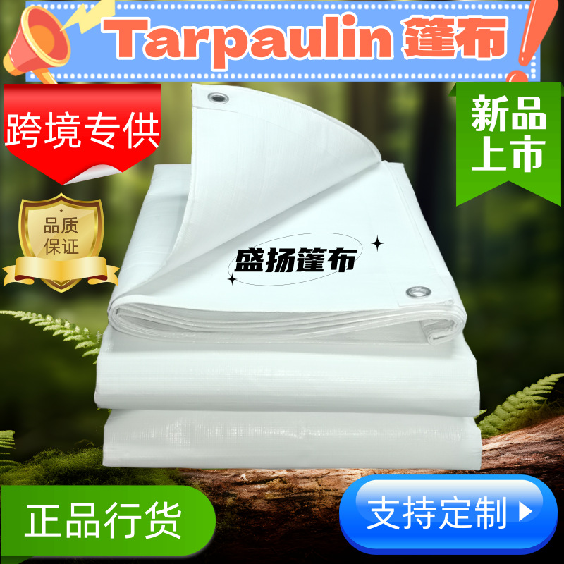 微信图片_20231101202858_2副本