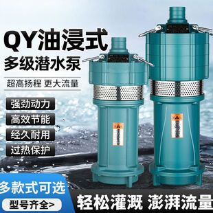 ��ü���220v�ߓP���ͽ�ʽ���˹��ˮ��380vQD�༉��ˮ��