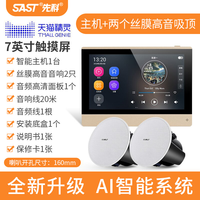 [내장 Tmall Elf] 호스트 + 실크 멤브레인 트위터 천장 스피커 2개