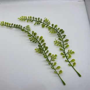 ���Ϸ�ˮ�ݼٻ�������~���쾰ˮ�ݼٲ��m���ݲ�˹�~ֲ��b�