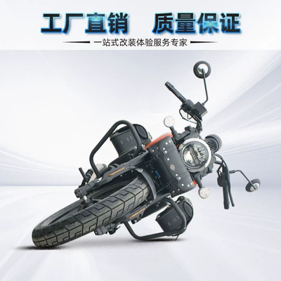 bar flash 150 rear high backrest Motorcycle bumper