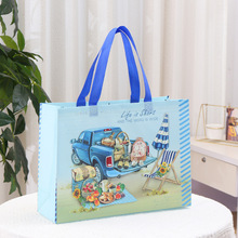 无纺布覆膜袋子餐饮酒水食品外卖袋超市收纳折叠购物袋跨境热销