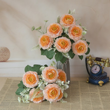 �S��ֱ�������ɏ�A���[���͏d�Ҿ��ҕ�����ҷ��g�k�����b�Ʒ