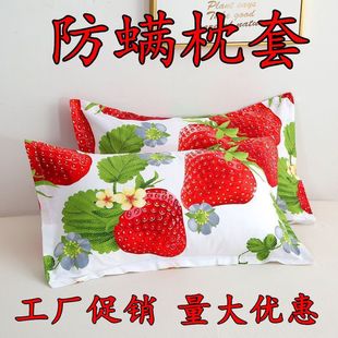 A Pair of Pillowcases for Adults, Large Pillowcases for Student Dormitories, Washable Pillowcases, Single Pillowcases, Pillow Cores, Zhaozhou