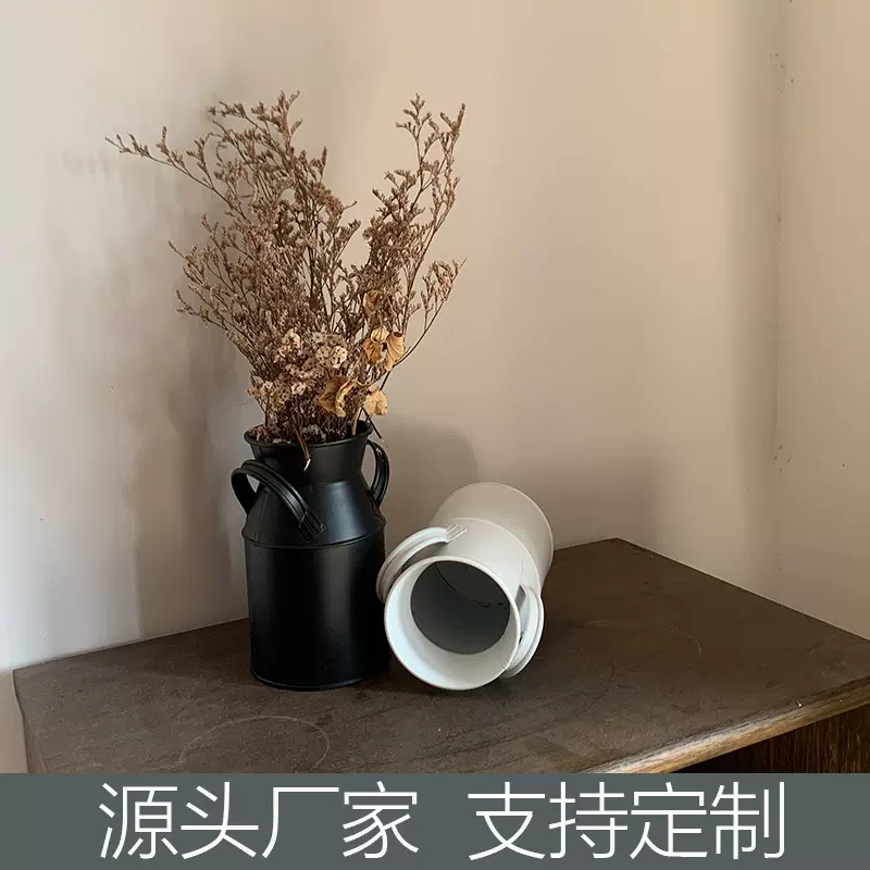 家居装饰台面ins摆件铁皮家用插花器皿花瓶多肉铁艺花瓶摆件花盆