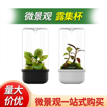 ���ճ��Bioloark��̬ƿ̦޺΢����ˮ�β���ƿ���﷽��LED��
