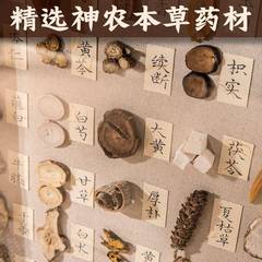 解憂慧画手作りDIY漢方薬材標本フォトフレーム漢方薬の置物壁飾り絵漢方薬館卸売り