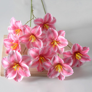 ���滨3�^�_�������� 3D��ӡ���Ⲽ��c�ҾӲ廨���Ô[���Ĕz����