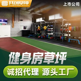 跑道草坪;仿真绿植