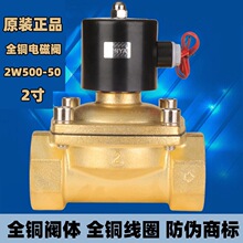 2W500-50����ȫ��ŷ�ˮ������2��DN50220VDC24V������ˮ��12V