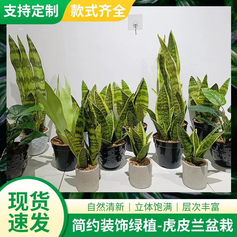仿真虎皮兰盆栽  人造虎皮兰仿真植物虎皮兰跨境虎皮兰仿真绿植