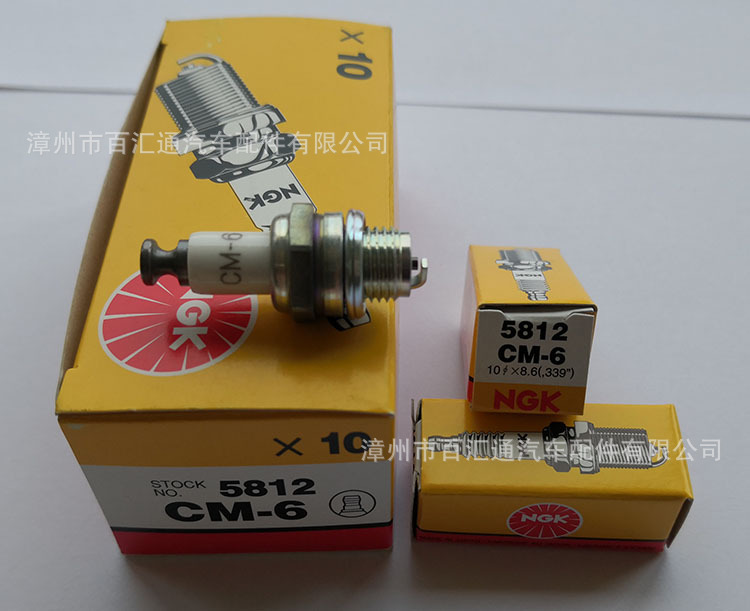CM-6 (2).jpg