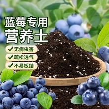 �{ݮ���{ݮ��I�B���Ϲ���ͨ�������{ݮ���ԷNֲ���ЙC�I�B��