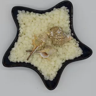 定制加工白蜂蜡  蜂蜡  化妆品 原 料  颗粒蜂蜡