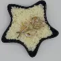 定制化妆品颗粒白蜂蜡