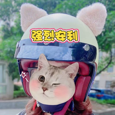 Motosiklet dəbilqələri: Ears Motorcycle Electric Vehicle Motorbike