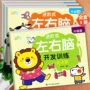 大脑训练潜能开发书