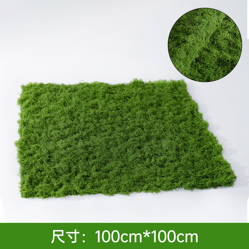 Filamentous moss dark green turf [100cm*100cm]
