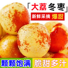 陕西大荔冬枣新鲜大果应季整箱枣子青枣脆枣冰糖大枣5斤当季水果