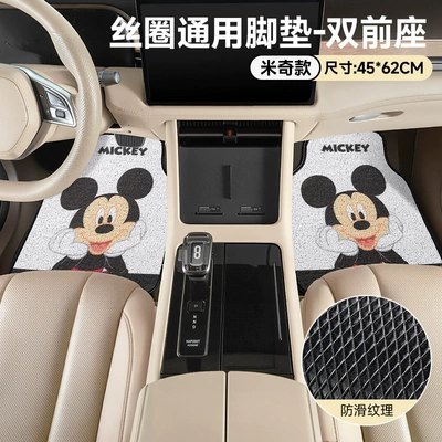 Anti-Dirt Carpet Protector, Non-Slip – Universal Foot Pad - mickey-style-thickened-wire-loop-style-universal-floor-mats-for-both-front-seats