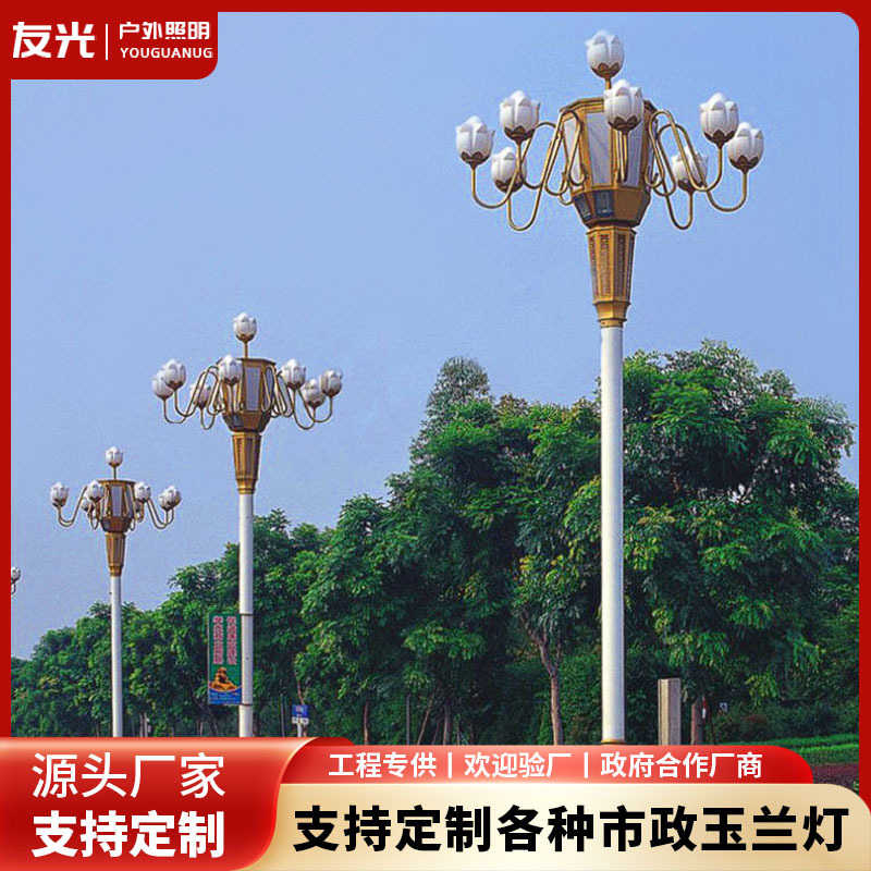 6米8米中华灯路灯杆路灯市政工程景区广场主干道道路照明景观灯