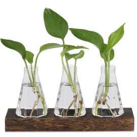 装饰花瓶;水培植物瓶;玻璃工艺品