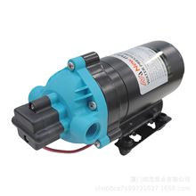 清洁跨境热销新品31系列高压隔膜泵80/120PSI 12V 24V 115V 220V