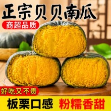 山东贝贝板栗南瓜批发孕妇宝宝辅食新鲜蔬菜贝贝小南瓜整箱批发