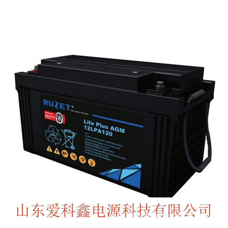 法国RUZET路盛蓄电池12LPA100 12V100AH 电力UPS电源12v蓄电池