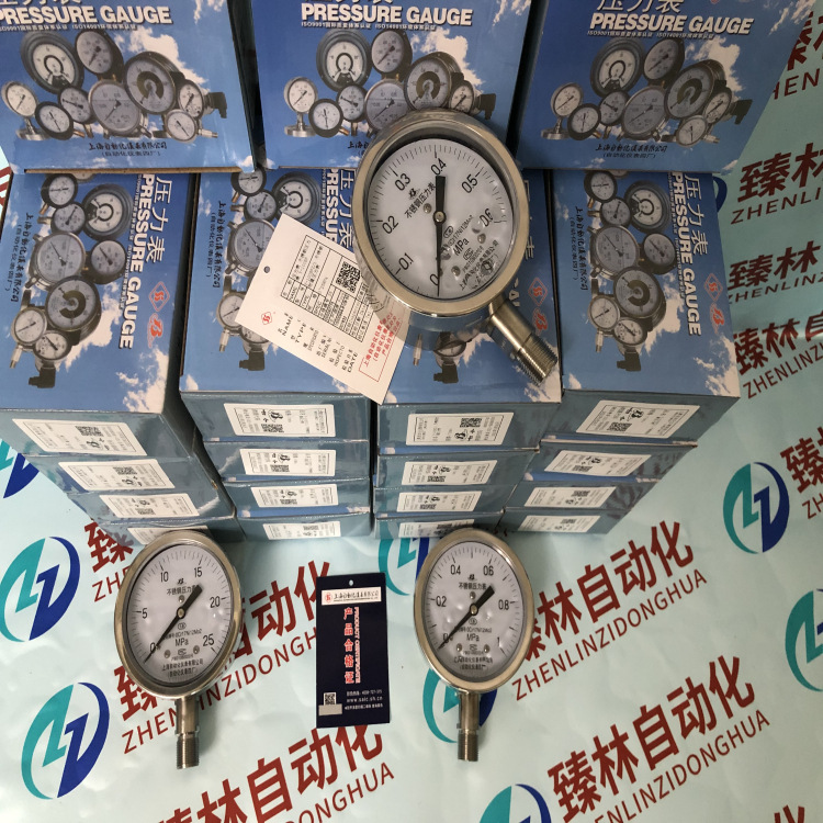 YTN-150ZQ耐震压力表 上自仪