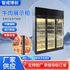 定制牛肉熟成柜商用西餐湿式恒温冷藏保鲜展示柜风冷牛肉冷冻柜