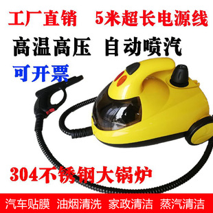 Steam Cleaner High Temperature and High Pressure Invisible Car Clothing Film Fumigation Machine Car Cleaning Machine Car Washing Machine