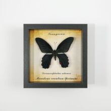 ������˱���� �Wʽ�ֹ��Ҿߔ[���Ʒ�ڒ��diy���նY���Ʒ�YƷ