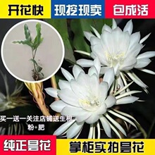 �һ�����һ�һ�F����ɻ��̨ͥԺ�Gֲ���B�����ļ��_�����~ֲ��