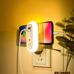 楕円形の小夜灯はダブルUSB充電口を持っています。