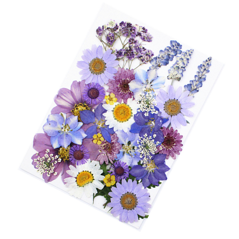 Paquete de material de estampado de flores secas Paquete de combinación de flores presionadas Flor real Hoja de espécimen pegatinas