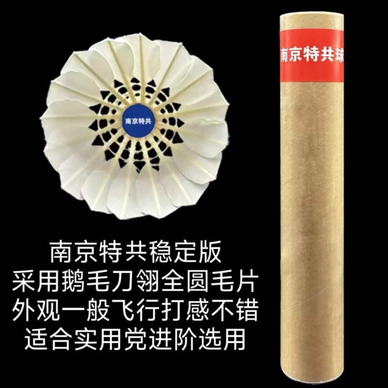 난징 테공(안정적인 풀서클 76단)