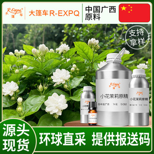 С������ԭ��Jasminum sambac����ԭ�����l�����o������܇����
