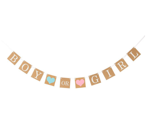 BOY ORGIRL Sex Reveals Baby and Child Welcome Party Flag on Kraft Paper Letter Birthday