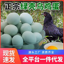 �r��ɢ�B�u�����B���B�G�����u����̖�����I�B��؛�u��һ�����l