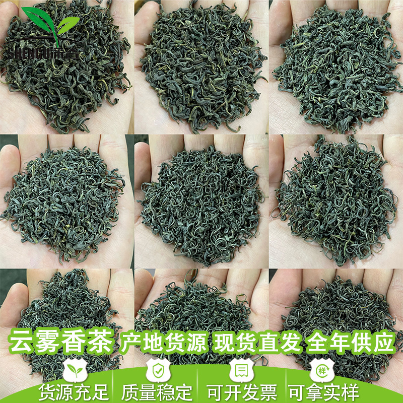 Deep Valley Sunshine High Mountain Cloud Green Tea Tea Leaf Wholesale Market Bulk 2026 New Tea Laoshan Roasted Green Tea Songyang Fragrant Tea Deep Valley Sunshine High Mountain Cloud Green Tea Tea Leaf Wholesale Market Bulk 2026 New Tea Laoshan Roasted Green Tea Songyang Fragrant Tea